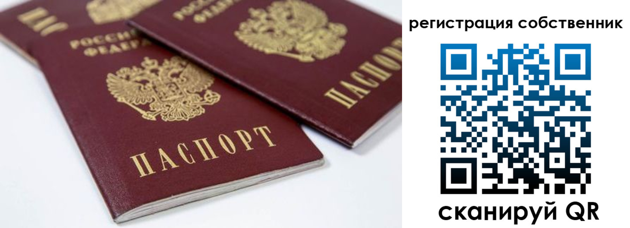 прописка для школы в Жирновске